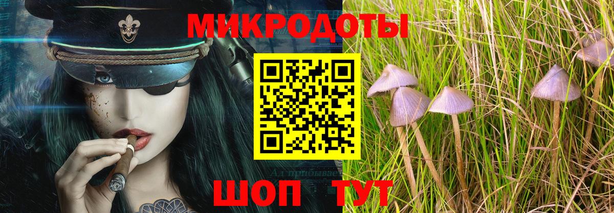 Псилоцибиновые грибы мицелий Химки