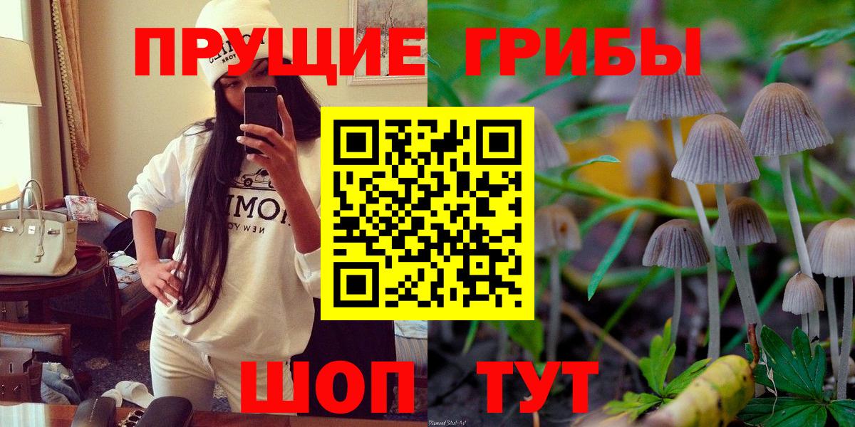 Псилоцибиновые грибы мухоморы  Галлюциногенные грибы Psilocybe  Вход с VPN  Химки 